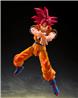 BANDAI SHF Dragon Ball Super Saiyan God Son Goku God Aura