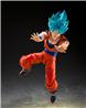 BANDAI SHF Dragon Ball Super Saiyan God Son Goku Blue Power
