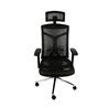 iCAN AR-508 Mesh Office Chair