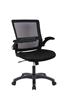 iCAN Mesh Home Office Chair, Ergonomic Design