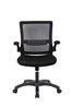 iCAN Mesh Home Office Chair, Ergonomic Design