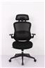 iCAN HLC-3566F-1M Mesh Office Chair