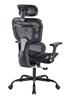 iCAN All Mesh Ergonomic Office Chair(Open Box)