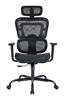 iCAN All Mesh Ergonomic Office Chair(Open Box)