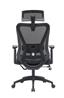 iCAN KW-M25 Mesh Office Chair