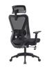 iCAN KW-M25 Mesh Office Chair