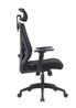 iCAN KW-M25 Mesh Office Chair