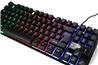 iCAN 87 Key Rainbow Backlit Gaming Keyboard with 6 Anti-ghosting Keys