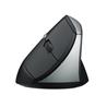 Rapoo EV250 Ergonomic Silent Wireless Mouse