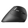 Rapoo EV250 Ergonomic Silent Wireless Mouse