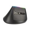 Souris optique ergonomique sans fil Delux M618DB, lumière RVB