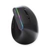 Souris optique ergonomique sans fil Delux M618DB, lumière RVB