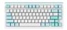 DAREU EK81 Max Tri-mode RGB Mechanical Gaming Keyboard, Compact Size