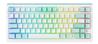 DAREU EK81 Max Tri-mode RGB Mechanical Gaming Keyboard, Compact Size