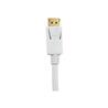 iCAN Premium 28AWG,DisplayPort Male to VGA  Male Cable, 6FT