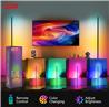 iCAN Smart Corner Floor Lamp,Voice control,Remote Control.