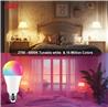 iCAN Smart Light Bulbs, A19 E26 RGBCW Color Changing LED Light Bulb.
