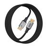 iCAN DisplayPort2.1 Cable,16K@30Hz, Male to Male, 10FT