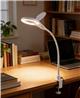 iCAN 5X Magnifying Glass with Light and Clamp.
