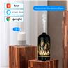 iCAN Smart Wi-Fi Humidifier, Aroma Diffuser + Alexa & Google Assistant(Open Box)