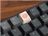 Keychron Zinc Alloy OEM Artisan Keycap-Orange