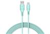 iCAN USB-A 2.0 to USB Type-C, M/M, 1m (3.3ft), pantone 331C