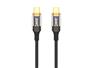 iCAN USB 2.0 Type-C Male to Type-C Male Cable, 100W, 6.6ft
