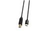 iCAN USB 2.0 Type-C Male to Type-B Male Cable, 240W, 10ft