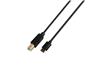 iCAN USB 2.0 Type-C Male to Type-B Male Cable, 240W, 10ft