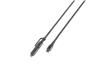 Câble iCAN MFi Type-C Mâle vers Type-C Mâle + Lightning Mâle, 6 pieds