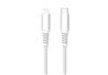 iCAN MFi Type-C Male to Lightning Male Cable, 27W, 6 ft