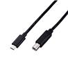 iCAN USB 2.0 Type-C Male to Type-B Male Cable, 15ft