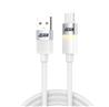 iCAN Warm LED USB 2.0 Type-A Male to Type-C Male Cable, 3A, 6ft(Open Box)