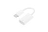 iCAN USB Type-C Male to Lightning Female charging and data adapter(Open Box)