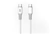 Câble iCAN USB 2.0 Type-C Mâle vers Type-C Mâle, 100W, 3,3 pieds(Open Box)