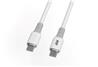 Câble iCAN USB 2.0 Type-C Mâle vers Type-C Mâle, 100W, 3,3 pieds(Open Box)