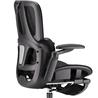 iCAN E21-BK Special Mesh Ergonomic Office Chair
