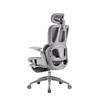 iCAN E21-GY Reclining Ergonomic Office Chair(Open Box)