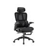 iCAN E21-BK Special Mesh Ergonomic Office Chair