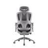 iCAN E21-GY Reclining Ergonomic Office Chair(Open Box)