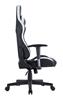 iCAN Ergonomic Gaming Chair, PVC Cover, Shaping Foam + Original Foam,  2D Armrests, 350mm Nylon Base, 60mm PU Caster, Class 4 G