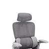 iCAN E21-GY Reclining Ergonomic Office Chair(Open Box)