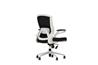 iCAN FA-WH Mesh Office Chair