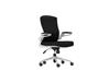 iCAN FA-WH Mesh Office Chair