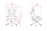 iCAN 9917  Gaming Chair 4D Armrest ,Black