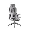 iCAN E21-GY Reclining Ergonomic Office Chair(Open Box)