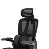 iCAN E21-BK Special Mesh Ergonomic Office Chair