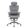 iCAN E21-GY Reclining Ergonomic Office Chair(Open Box)