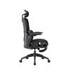 iCAN E21-BK Special Mesh Ergonomic Office Chair