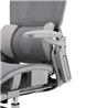 iCAN E21-GY Reclining Ergonomic Office Chair(Open Box)
